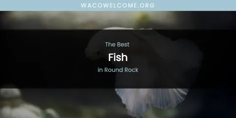 The Best Fish in Round Rock