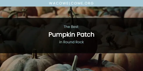 Round Rock's Best Pumpkin Patch