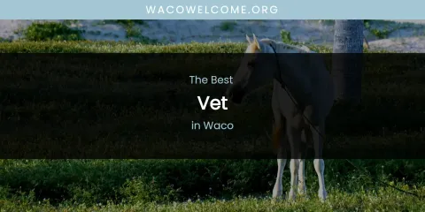 Waco's Best Vet